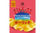 湖池屋 ポテトチップス ガーリック 55g ポテトチップス えびせん スナック菓子 お菓子