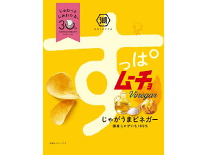 湖池屋/すっぱムーチョ チップス さっぱりビネガー 55g