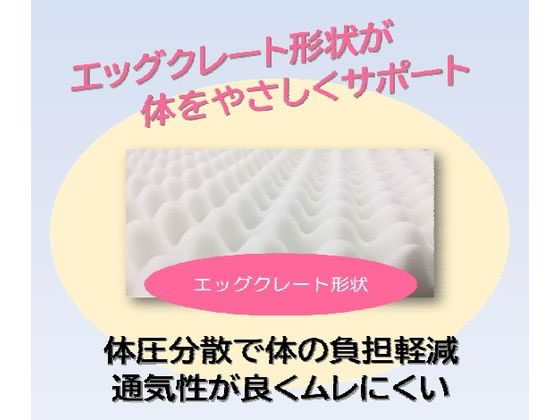 �ڥ�ӥ塼��Ƥ�100��OFF�����ݥ������̵���ڤ����󤻡ۥڥåȥ��� ��ư�餯�餯��ȿȯ�ޥåȥ쥹 �� �ɥå��� �ڥå� ������ ���襰�å� �ڥåȥϥ���