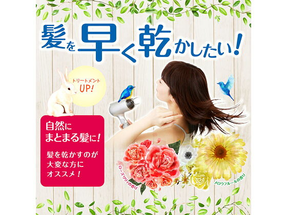 �ڥ�ӥ塼��Ƥ�100��OFF�����ݥ�ۡڤ����󤻡۲���ǵ������ �إ��ꥨ �����å��֥����ߥ��� �ҥ���������ꥣ�ι��� �إ����������� �ߥ��� ��������� �إ�����