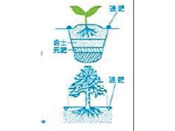 【楽天スーパーSALE限定★ポイント2倍＆2,000円クーポン】【お取り寄せ】トムソンコーポレーション SP 配合肥料 5kg 肥料 活力剤 園芸 ガーデニング