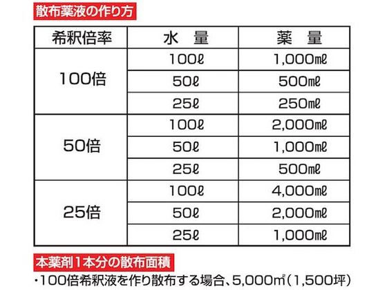 �ڥ�ӥ塼��Ƥ�100��OFF�����ݥ�ۥȥॽ�󥳡��ݥ졼����� ����ۥ��͡��� 5L ���������� ����� ����� ����� ��� �����ǥ˥�