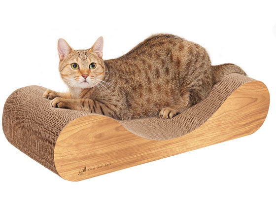 【レビュー投稿で100円OFFクーポン】【お取...の紹介画像2
