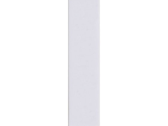 【お取り寄せ】西敬 ニュールックケース用名札 30×120mm 10個入り NC-S10 名札ケース