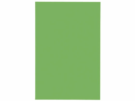 【レビュー投稿で100円OFFクーポン】【お取り寄せ】ジョインテックス マグネットシートワイドツヤ有 緑 B210J-G マグネットシート つやありタイプ マグ...