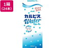 【ポイント2倍★22日20:00~27日9:59迄】 エルビー カルピスウォーター 250ml 24本 乳酸菌飲料 豆乳 飲料 ジュース