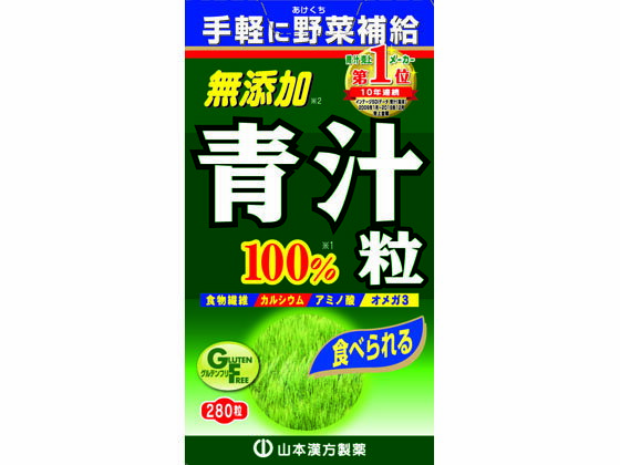 �ڥ�ӥ塼��Ƥ�100��OFF�����ݥ�ۡڤ����󤻡ۻ��ܴ��� �������� �Ľ�γ100% 280γ ���ץ���� �򹯿���