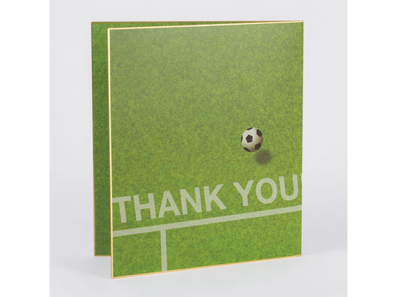 【レビュー投稿で100円OFFクーポン】ミドリ カラー色紙 二つ折り サッカー場柄×5冊 33167006 色紙 表彰..