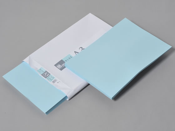 �ڥ�ӥ塼��Ƥ�100��OFF�����ݥ��APPJ ���顼���ԡ��ѻ� �֥롼 A3 500�� CPB002 A3������ �֥롼�� �� ���顼���ԡ��ѻ�