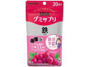 UHA味覚糖 グミサプリ 鉄 20日分 サプリメント 栄養補助 健康食品