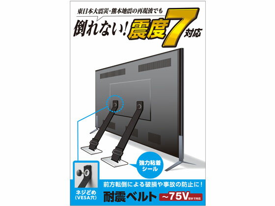 【お取り寄せ】エレコム/耐震ベルト ネジどめVESA穴 ~75V用 2本入/TS-006Nのサムネイル