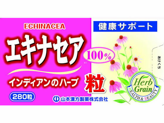 �ڥ�ӥ塼��Ƥ�100��OFF�����ݥ�ۡڤ����󤻡ۻ��ܴ������� �����ʥ���γ100% 280γ ���ץ���� �򹯿���