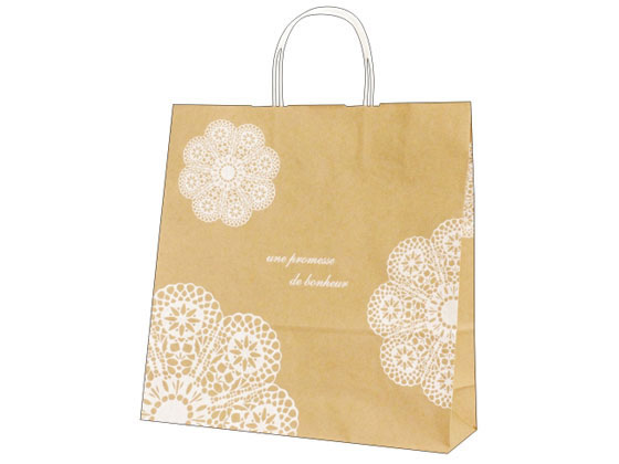 【レビュー投稿で100円OFFクーポン】【お取り寄せ】タカ印 手提げバッグ レースィ 大 10枚 50-6812 紙手提袋 丸紐 手提袋 ラッピング 包装