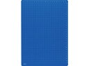 【ポイント2倍★22日20:00~27日9:59迄】 レイメイ 先生おすすめ魔法のザラザラ下敷A4 0.3mmドット ブルー 下敷き 教材 学童文具 学童 文具