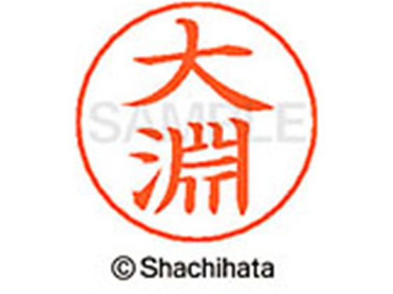 【商品説明】ネームペンのネーム印を交換したい場合にご使用ください。【仕様】●オオフチ●印面サイズ：直径9mm●書体：楷書体●インキ色：朱色●カートリッジ式●対応補充インキ：XLR−GP●透明プラケース入り●GPNエコ商品ねっと掲載【備考】※メーカーの都合により、パッケージ・仕様等は予告なく変更になる場合がございます。【検索用キーワード】シヤチハタ　シャチハタ　ネームペンネーム　ネーム印　ネームペンのネーム　ネーム部品　印面のみ　名前のみ　苗字のみ　名字のみ　オプション品　交換部品　紛失　浸透印　XLR−GP　顔料　油性　油性顔料　直径9mm　9ミリ　朱色　X−GPS−0523　XGPS0523　卒業式　進級　進学　就職　退職　ギフト　贈答品　オオフチ　おおふち　ネーム印（その他）　ネーム印（その他）　RPUP_03　RA6560ネームペン各種のネーム部既製品です