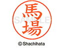 【マラソン限定★2000円クーポン&ポイント2倍】【お取り寄せ】シヤチハタ ネームペン用ネーム シルバー 既製 馬場 X-GPS-1680 ハ ネームペン用ネー...