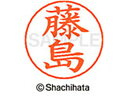 【マラソン限定★2000円クーポン&ポイント2倍】【お取り寄せ】シヤチハタ ネームペン用ネーム シルバー 既製 藤島 X-GPS-1749 フ ネームペン用ネー...