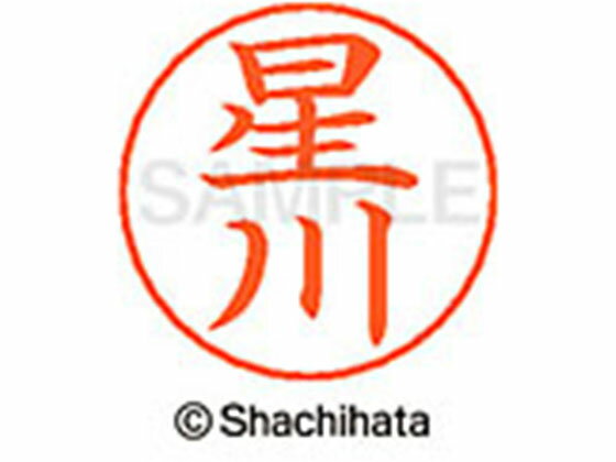 Rakuten - 【レビュー投稿で100円OFFクーポン】【お取り寄せ】シヤチハタ ネームペン用ネーム シルバー 既製 星川 X-GPS-1779 ホ ネームペン用ネーム部 ハ行 シャチハタネームペン用印面部分 ネーム印 スタンプ