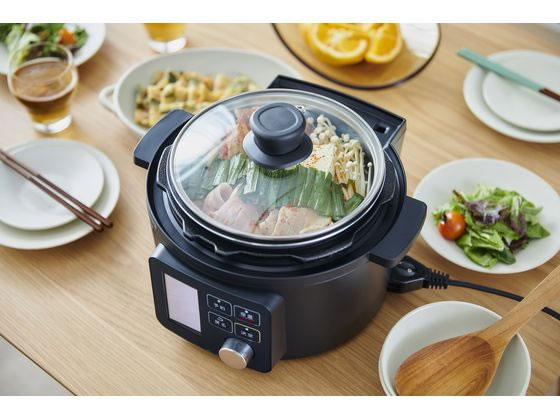 【レビュー投稿で100円OFFクーポン】【お取り寄せ】アイリスオーヤマ 電気圧力鍋用ガラスふた 2.2L GA-MA2 電気圧力鍋 自動調理器 調理器 キッチン家電 キッチン家電 調理家電 cocodecow-10638320 ココデカウ サンプル画像2