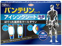 【レビュー投稿で100円OFFクーポン】【お取り寄せ】興和 バンテリンコーワ アイシングシート 12枚入 冷却 温熱 メディカル