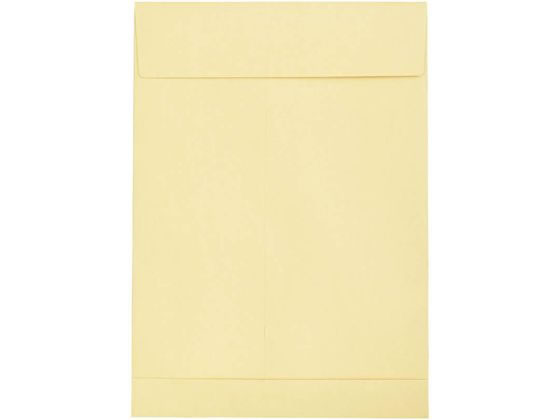 �ڳ�ŷ�����ѡ�SALE���������20%OFF��2,000�ߥ����ݥ�ۡڥ᡼����ľ���ۥ��󥰥����ݥ졼����� ��1 ȢŽ���� 120g OK������� 100�����...