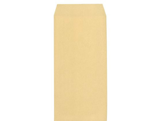 �ڳ�ŷ�����ѡ�SALE���������20%OFF��2,000�ߥ����ݥ�ۡڥ᡼����ľ���ۥ��󥰥����ݥ졼����� Ĺ6 �����ѥ� �ȥʥ� 70g 1000���2Ȣ��...