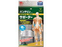 【お取り寄せ】興和 バンテリンコーワサポーター 腰用 シャイニンググレ...(4)