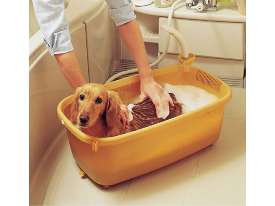 �ڥ�ӥ塼��Ƥ�100��OFF�����ݥ�ۡڤ����󤻡ۥ����ꥹ������� �ڥå��ѥХ����� �ա��ɤʤ� ����� BO-600E ���̥��å� �ڥå� ������ ���襰�å� �ڥåȥϥ���