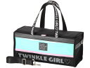 楽天ココデカウモリベクリエーション BOX型画材セット TWINKLE GIRL M16R-TWI 絵の具 パレット 絵の具、パレット 教材用筆記具