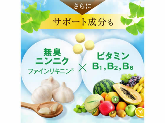 【レビュー投稿で100円OFFクーポン】【お取り寄せ】ファイン イチョウの葉エキス粒...