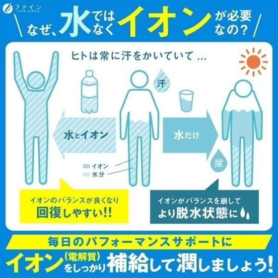 【レビュー投稿で100円OFFクーポン】ファイン イオンドリンク 22包 栄養ドリンク エナジードリンク 栄養補助食品 健康食品 cocodecow-10224609 ココデカウ サンプル画像3