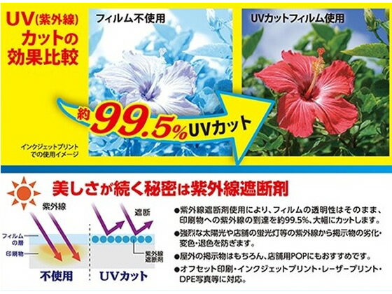 �ڳ�ŷ�����ѡ�SALE������ݥ����2�ܡ�2,000�ߥ����ݥ�ۥ����� ��ߥ͡��ȥե���� UV A4 20P F4001 A4 ��ߥ͡��� �ѥ����ե���� ��ߥ͡����� ��ߥ͡��ȥե���� ��̳����