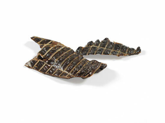 �ڥޥ饽������2,000�ߥ����ݥ���ݥ����2�ܡۡڤ����󤻡ۥڥåȥץ� �񻺤���� ����С� ���㡼���� 80g ����� �� �ڥå� �ɥå��ա���