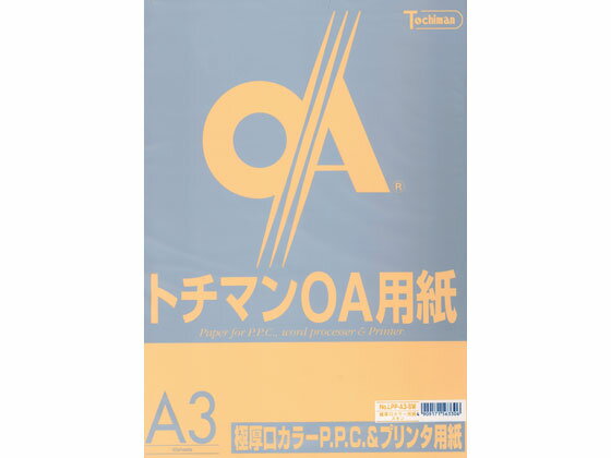 楽天ココデカウ【お取り寄せ】SAKAEテクニカルペーパー 極厚口カラーPPC A3 スキン 50枚×5冊 A3 カラーコピー用紙