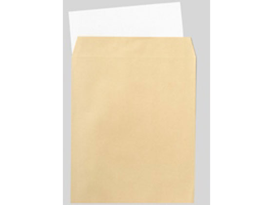 �ڳ�ŷ�����ѡ�SALE������ݥ����2�ܡ�2,000�ߥ����ݥ�ۥ����쥤 ��ܡ���� A4 100�� CA4 ����ɽ�� ����