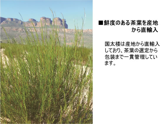 【マラソン限定★ポイント2倍】国太楼 お徳用 ルイボスティー 34P ルイボスティ お...