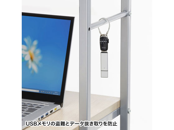 【レビュー投稿で100円OFFクーポン】【お取り寄せ】サンワサプライ USBメモリセキュリティ SL-69 セキュリティ商品 PC パソコン 家電