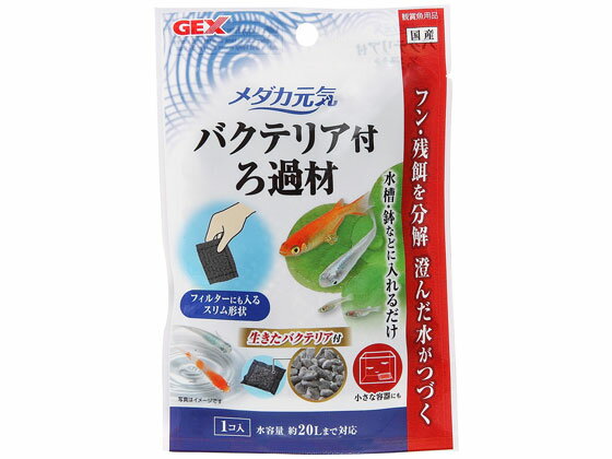 ڥޥ饽2,000ߥݥݥ2289:59 ڤ󤻡ۥå Хƥꥢդ20g   å Ѿ޵ ڥå