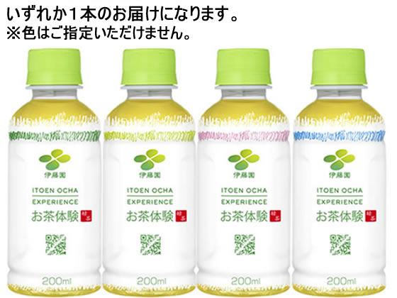 伊藤園 お茶体験 200ml 62067 ペットボトル 小容量 お茶 缶飲料 ボトル飲料