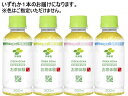【ポイント2倍★19日20:00〜26日1:59迄】伊藤園 お茶体験 200ml 62067 ペットボトル 緑茶 お茶 飲料