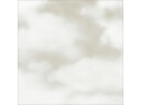 【ポイント2倍★19日20:00~26日1:59迄】【お取り寄せ】タカ印 包装紙 クラウド グレー 半才判(528×750mm) 50枚 包装紙 包装 ラッピング
