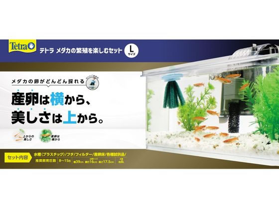 【お取り寄せ】スペクトラムブランズジャパン テトラ メダカの繁殖を楽しむセット L グッズ 観賞魚 ペット
