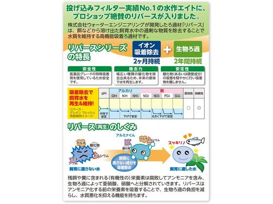 �ڥ�ӥ塼��Ƥ�100��OFF�����ݥ�ۿ�� �����ȥ��� M�� ��С������쥤�󥫡��ȥ�å� ������� ���ᥰ�å� ���å� �Ѿ޵� �ڥå� �������ꥦ��