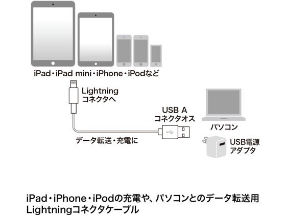 �ڥ�ӥ塼��Ƥ�100��OFF�����ݥ�ۥ���掠�ץ饤 �饤�ȥ˥󥰥����֥� �ۥ磻�ȡ�1m KB-IPLT10K3W USB�����֥� A to Lightning �����֥� �Ÿ����å� �����ѡ��� ����