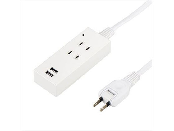 ~2 Holes - 【レビュー投稿で100円OFFクーポン】【お取り寄せ】ヤザワ 雷ガード付タップ 2AC2USB2.1A ホワイト 2.5m コード付き電源タップUSBポート付 電源タップ OAタップ 配線パーツ 家電
