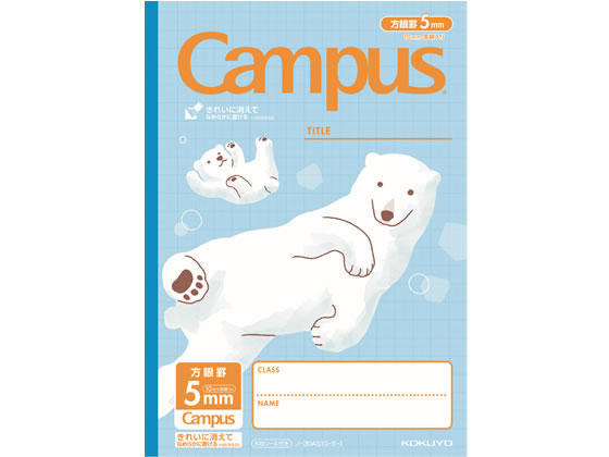 �ڳ�ŷ�����ѡ�SALE������ݥ����2�ܡ�2,000�ߥ����ݥ�ۥ����� �����ѥ��Ρ���������(���˥ޥ���) ����B5 5mm���� �������� ������ ����� ��...