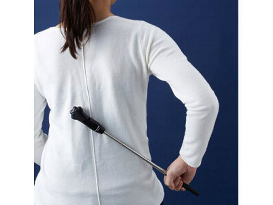 �ڥ�ӥ塼��Ƥ�100��OFF�����ݥ�ۡڤ����󤻡۰��ŵ����� �ˤ��ȿ��Ӥ�¹�μ� ASH-50 �� �����ǥ����å�