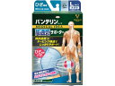 【ポイント2倍★22日20:00~27日9:59迄】【お取り寄せ】興和 バンテリンコーワ高通気サポーター ひざ用大きめ ライトブルー サポーター メディカル