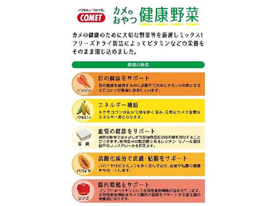 【マラソン限定★ポイント2倍＆2,000円クーポン】【お取り寄せ】イトスイ カメのお...