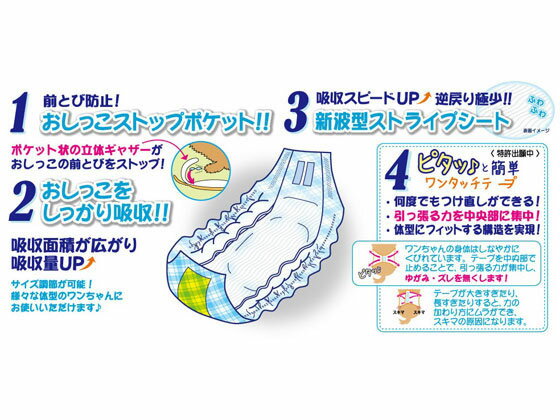 サンプル画像2